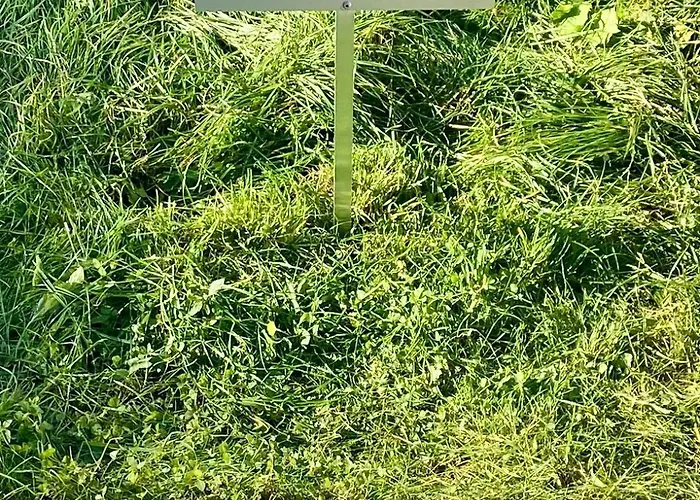 Crowns Appartamento Płock